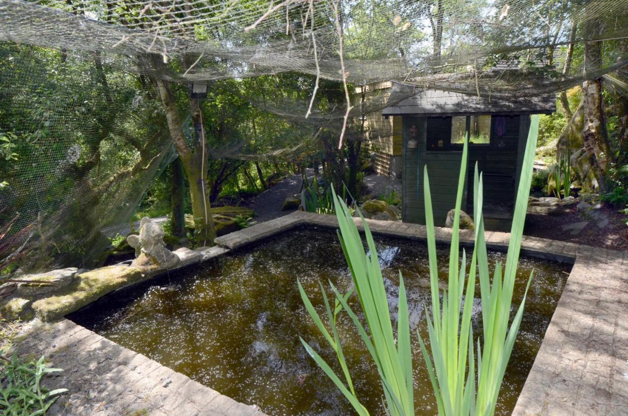 Tawny Lodge Westport Buitenkant foto