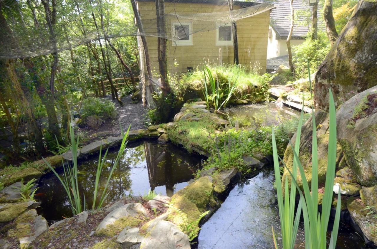 Tawny Lodge Westport Buitenkant foto