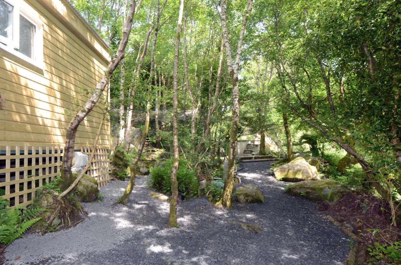 Tawny Lodge Westport Buitenkant foto
