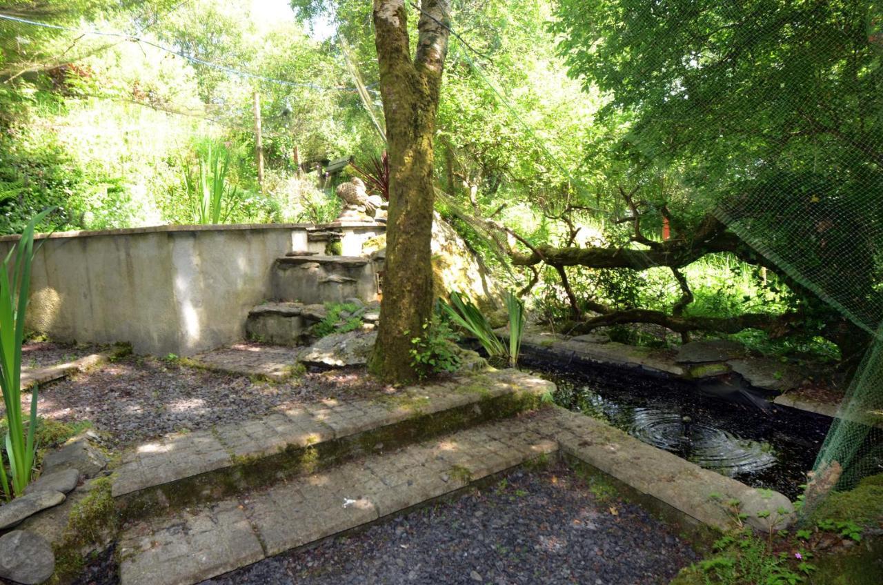 Tawny Lodge Westport Buitenkant foto